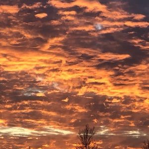 Meet your Posher, Laurie